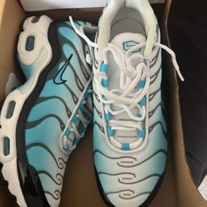 Nike Air Max Plus Turquoise and White Shoes